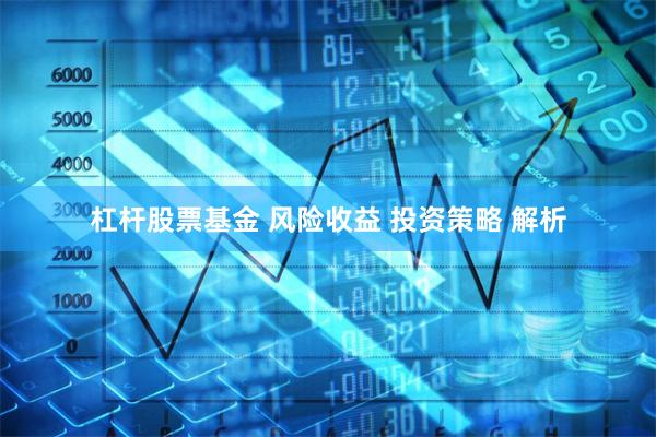 杠杆股票基金 风险收益 投资策略 解析